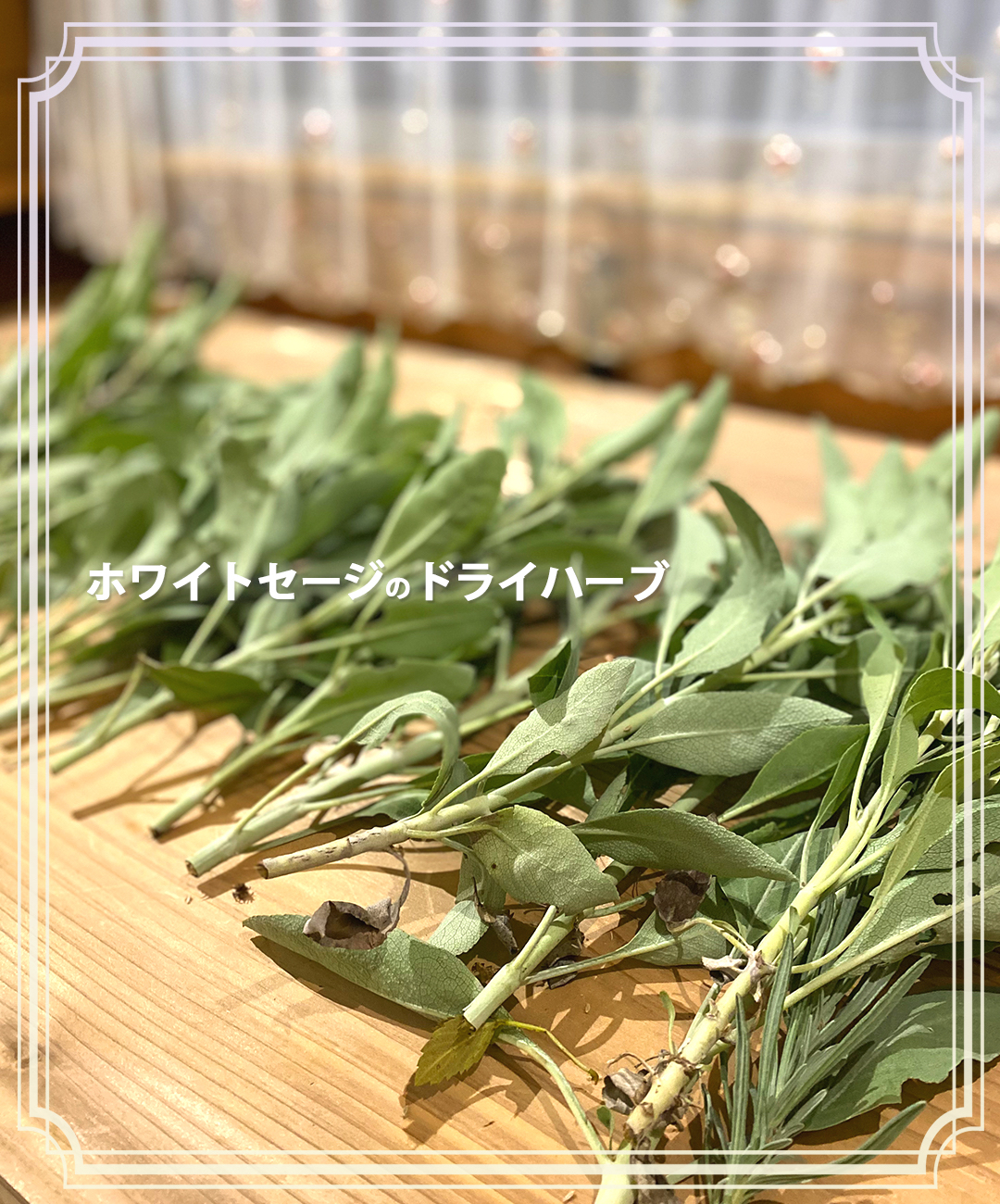 umufarm ホワイトセージのドライハーブ お香付き